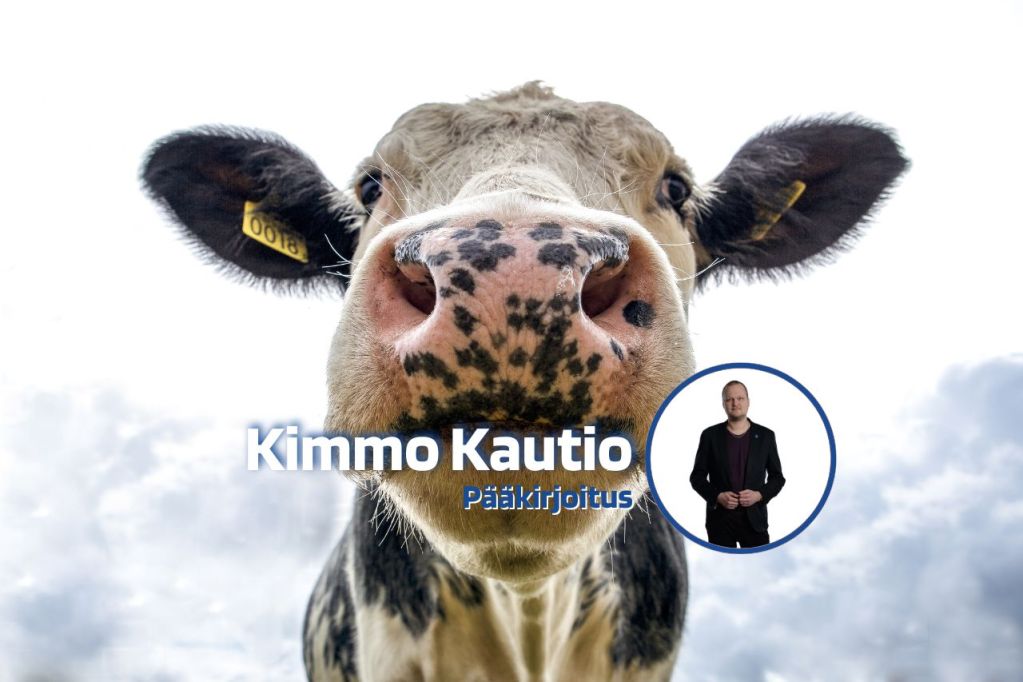 Pääkirjoitus 16.7.2026: Lehmä ei olekaan ongelma – mutta mitä Bryssel suunnittelee seuraavaksi?